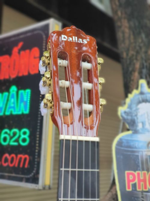 Đàn guitar classic Dallas DL-Q39CE