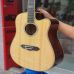 Đàn guitar acoustic hãng Dallas DL-Q41