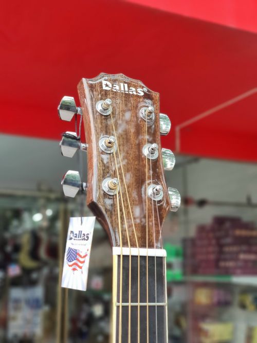 Đàn guitar acoustic hãng Dallas DL-Q41