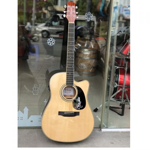 Guitar acoustic Takamine ED334C
