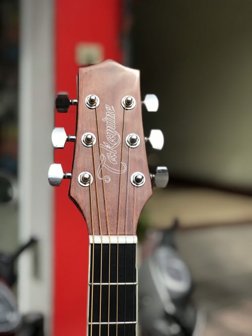 Guitar acoustic Takamine D21C
