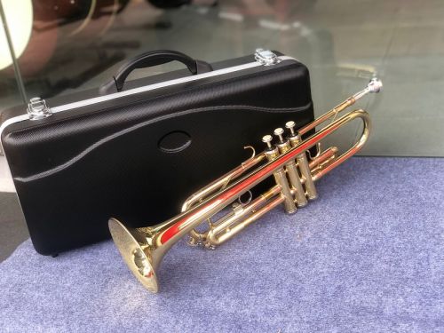 Trumpet Selmer TR-300 màu vàng