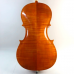 Đàn Cello size 3/4