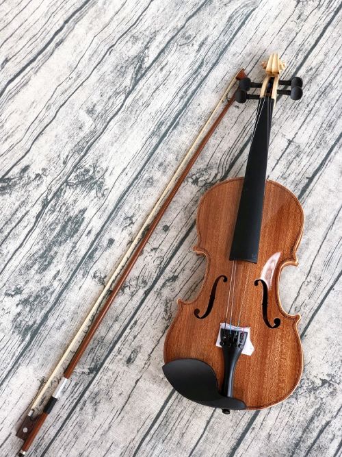 Đàn violin gỗ Sapele VS