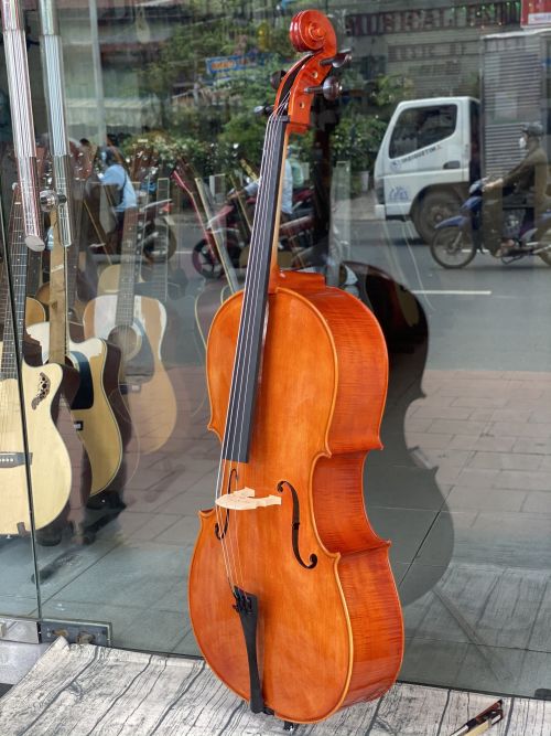 Đàn Cello full size đẹp