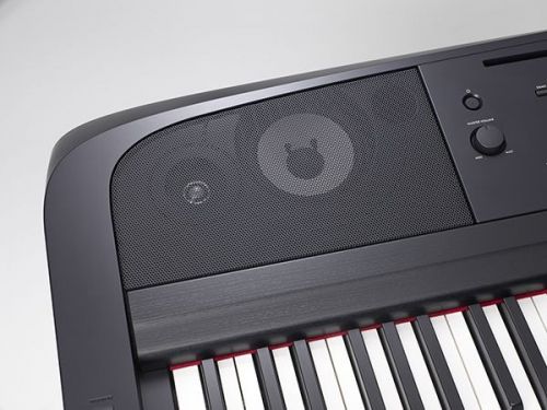 Đàn Piano Điện Yamaha DGX-670-B + L-300B + LP1 + PA-300C