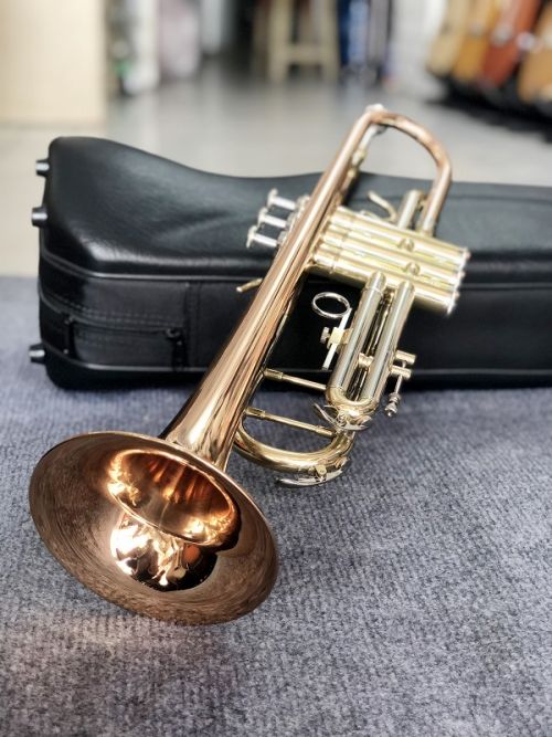 Trumpet Selmer TR-711