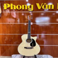 Đàn Guitar Acoustic hiệu Dallas DL-A40
