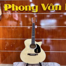 Đàn Guitar Acoustic hiệu Dallas DL-A40