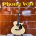 Đàn Guitar Acoustic hiệu Dallas DL-A40