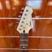 Đàn guitar điện Guson G1580 nhiều màu