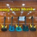Guitar Điện Lõm Dallas LDL S400 – Guitar Điện Chơi Cổ Nhạc, Cải Lương Nam Bộ