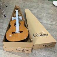 Đàn guitar classic Cordoba C7-CE CD gỗ cẩm ấn