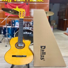 Đàn Guitar Classic Dallas DL-C1CE EQ M2 Màu Vàng