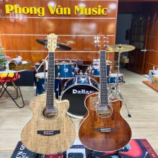 Đàn Guitar Acoustic Dallas DL-A500CE EQ M2