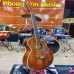 Đàn Guitar Acoustic Dallas DL-A500CE EQ M2