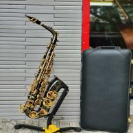 Kèn alto saxophone Saiger Professional màu bạc và đen giả cổ