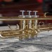 Kèn Trumpet Bb Saiger STR-350 Màu Vàng
