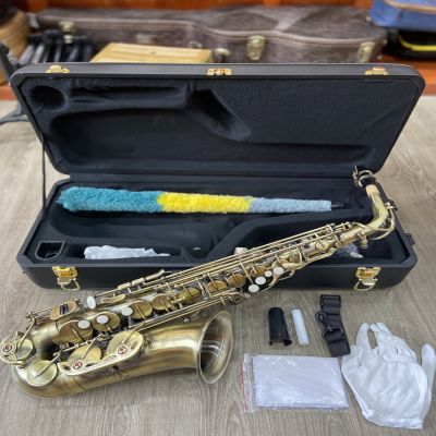 Alto Saxophone chính hãng Saiger SAS-700BR màu đồng