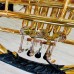 Kèn Cor (French Horn) Saiger SCR-6289 hộp da