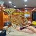 Kèn Cor (French Horn) Saiger SCR-6289 hộp da