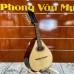 Đàn Mandolin Việt Nam