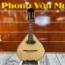Đàn Mandolin Việt Nam