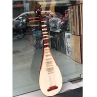 Đàn tỳ bà Việt Nam