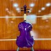 Đàn Violin màu Saiger SG-V5 size 4/4