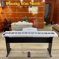 Đàn piano điện 88 phím hộp gỗ Saiger SDP-2024