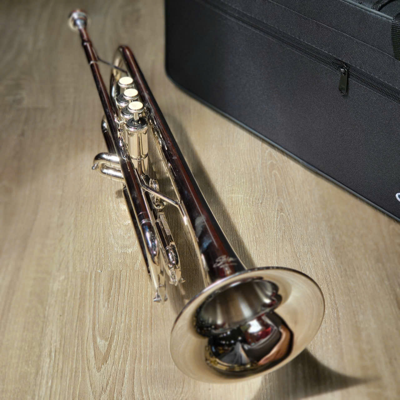 Saiger-STR-200-trang-4