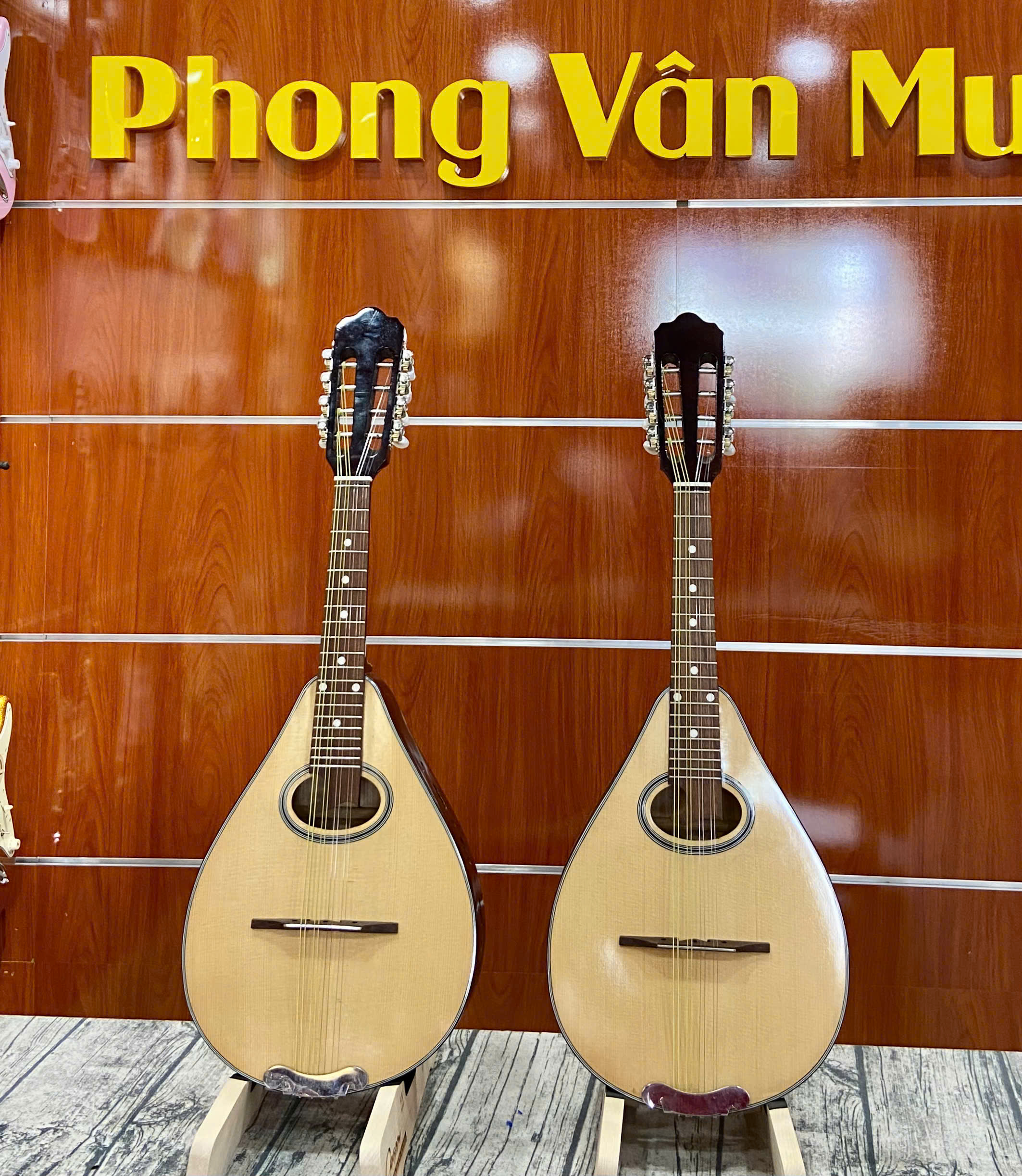 MANDOLIN-EP-1